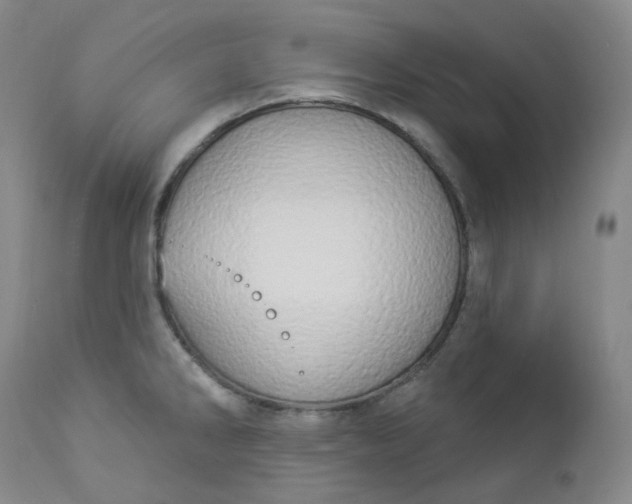 X0000112861286200909041544