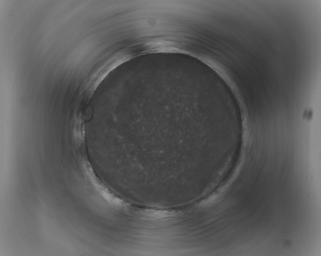 X0000112861289200909041544