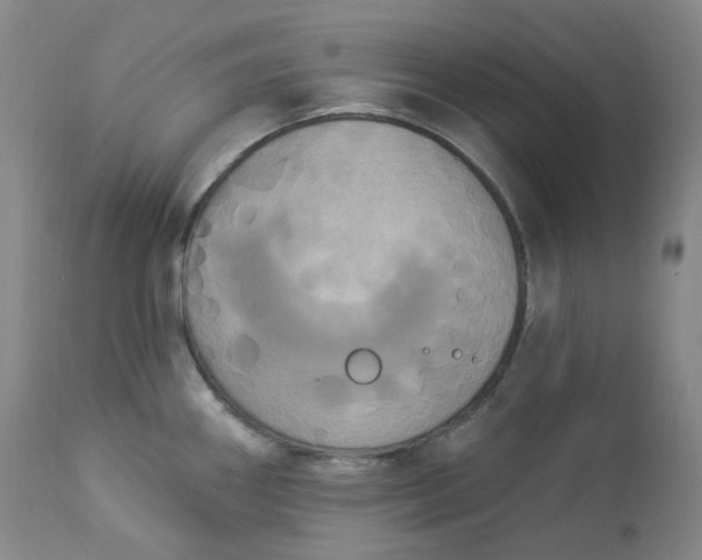 X0000112861290200909041544