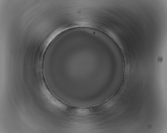 X0000112861291200909041544