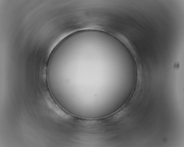 X0000112861292200909041544