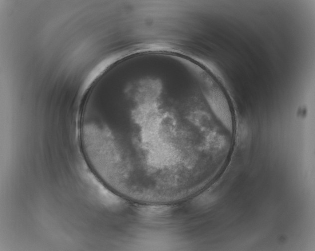 X0000112861294200909041544