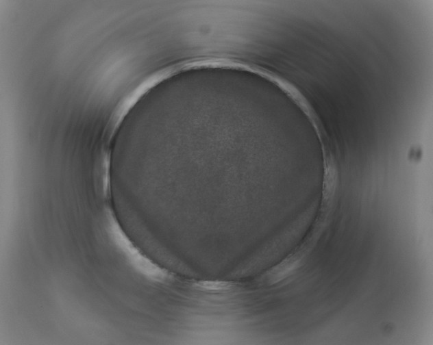 X0000112861295200909041544