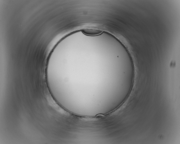 X0000112861296200909041544