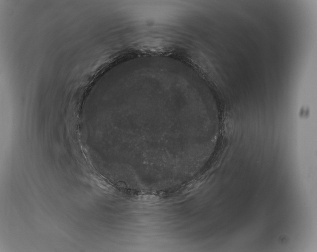 X0000112861297200909041543