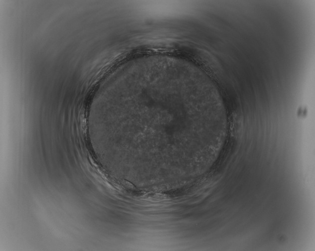 X0000112861298200909041543