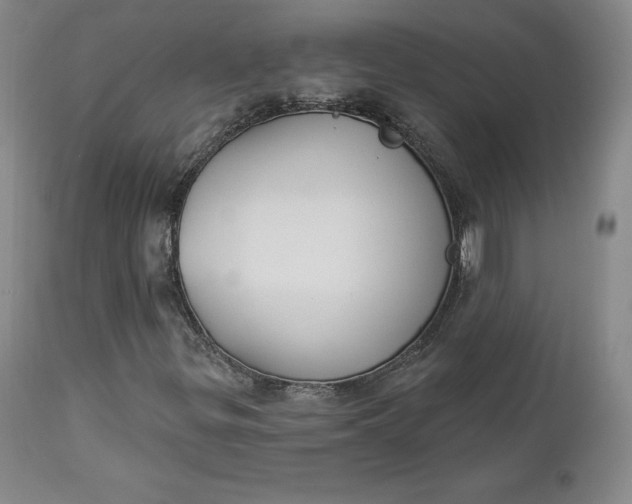 X0000112861299200909041543