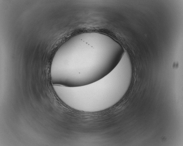 X0000112861300200909041543