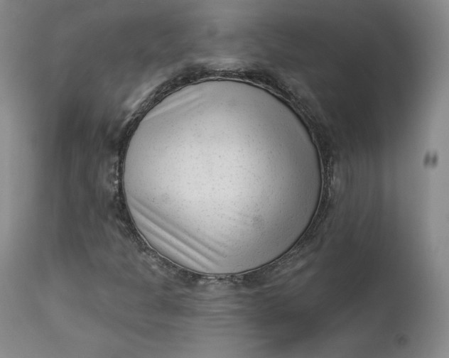 X0000112861301200909041543