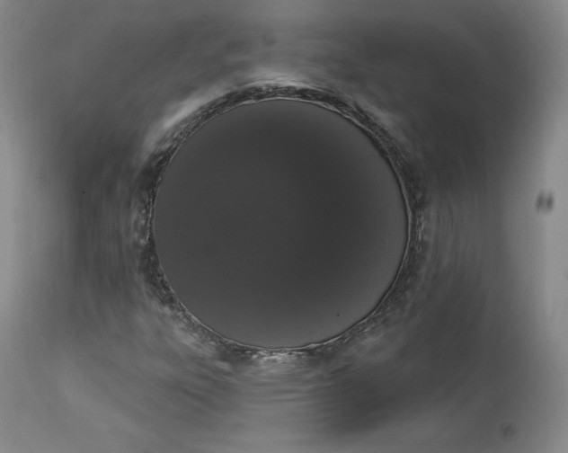 X0000112861303200909041543