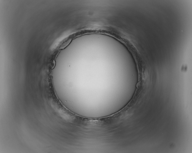 X0000112861304200909041543