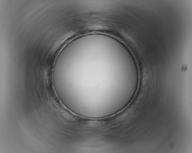 X0000112861305200909041543