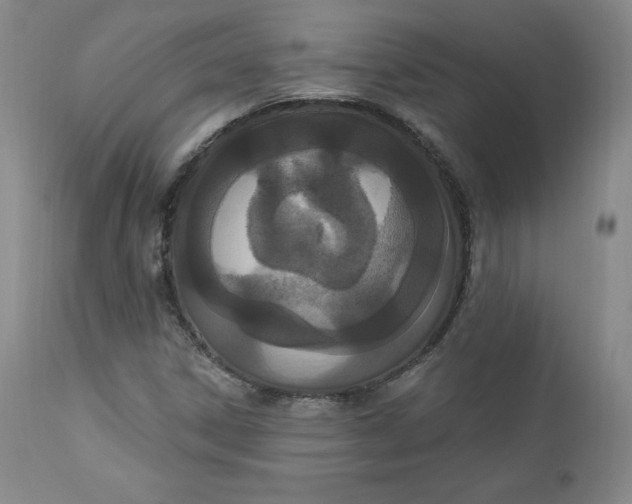 X0000112861306200909041544