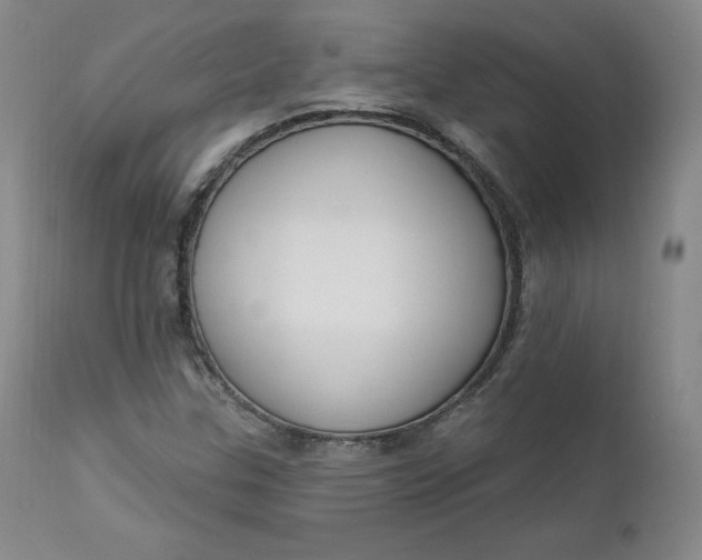 X0000112861307200909041544