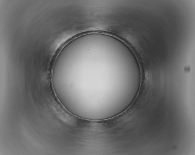 X0000112861308200909041544