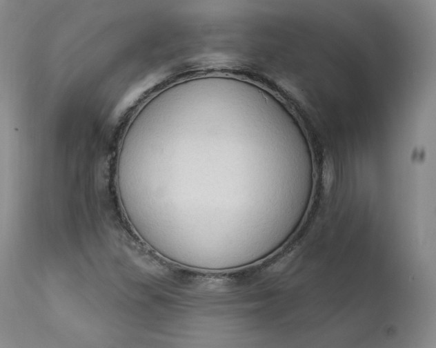 X0000112861309200909041544