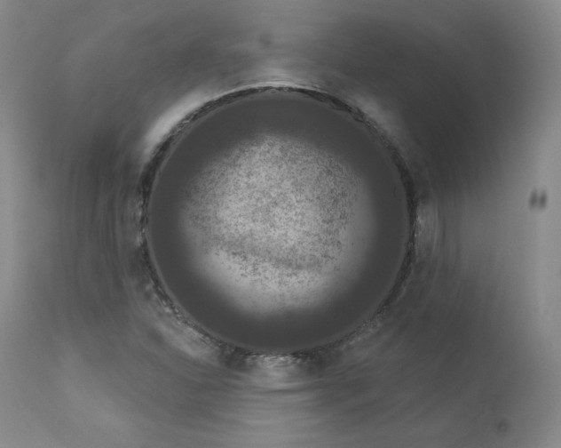 X0000112861310200909041544