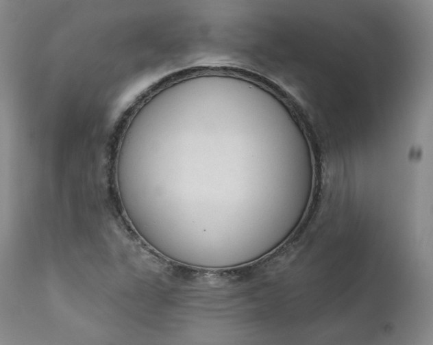 X0000112861311200909041544