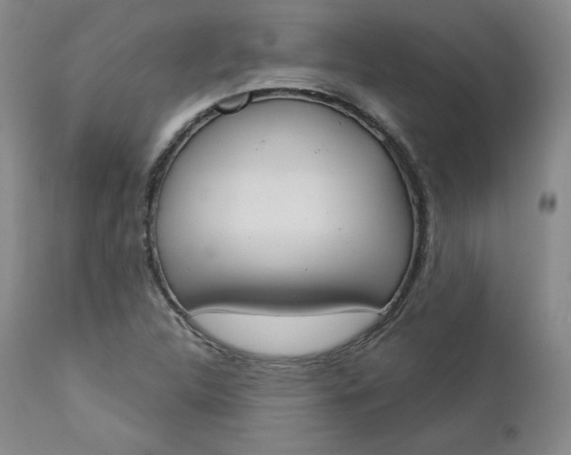 X0000112861312200909041544