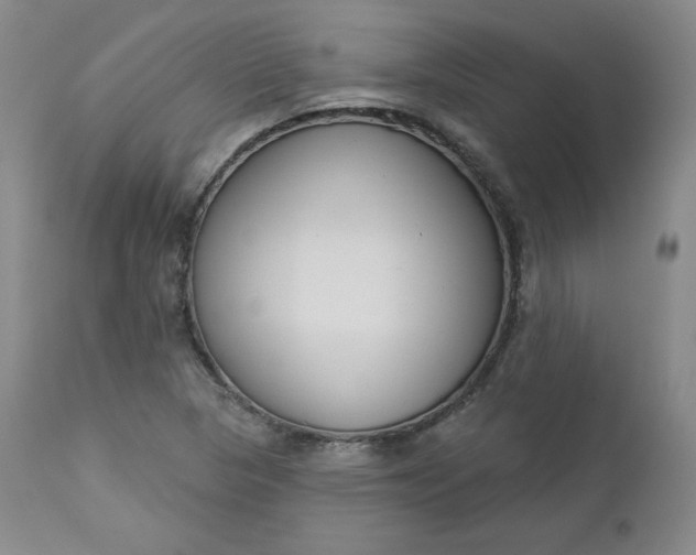 X0000112861313200909041544