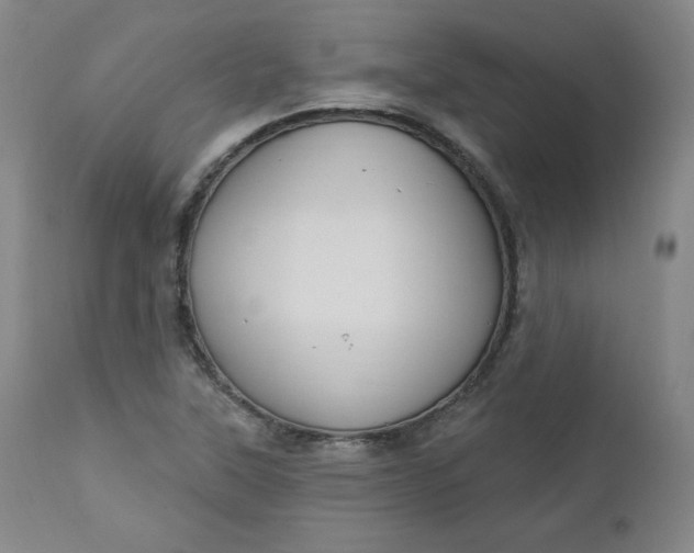 X0000112861315200909041544