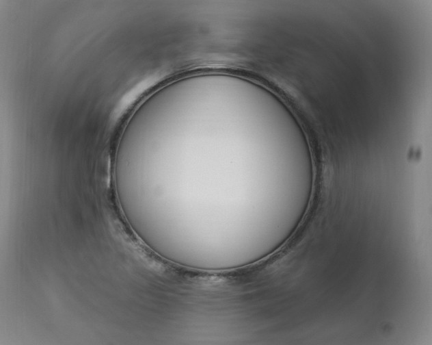 X0000112861317200909041544