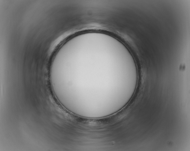 X0000112861318200909041544