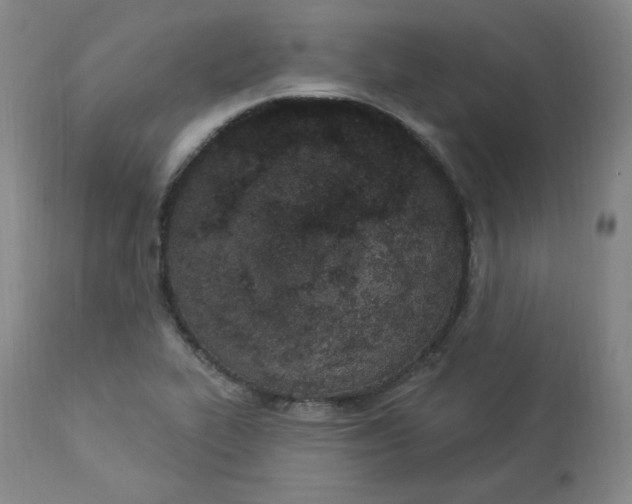 X0000112861319200909041544