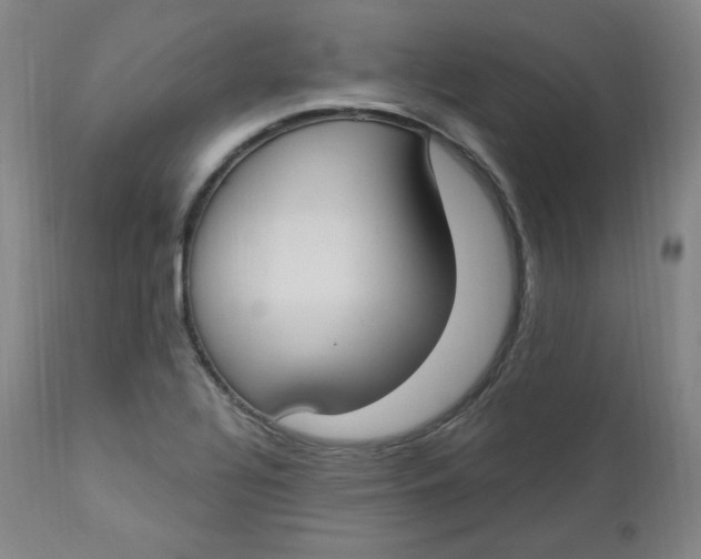 X0000112861320200909041544