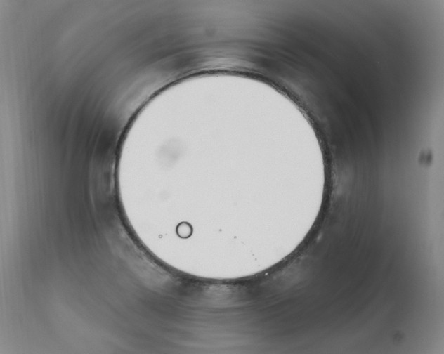 X0000112861322200909041544