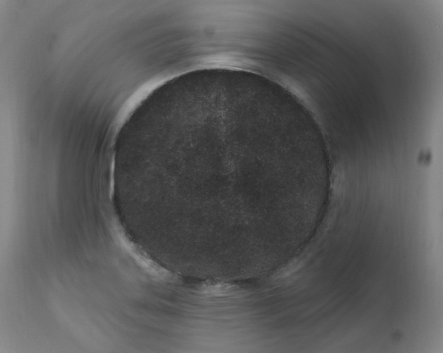 X0000112861323200909041544