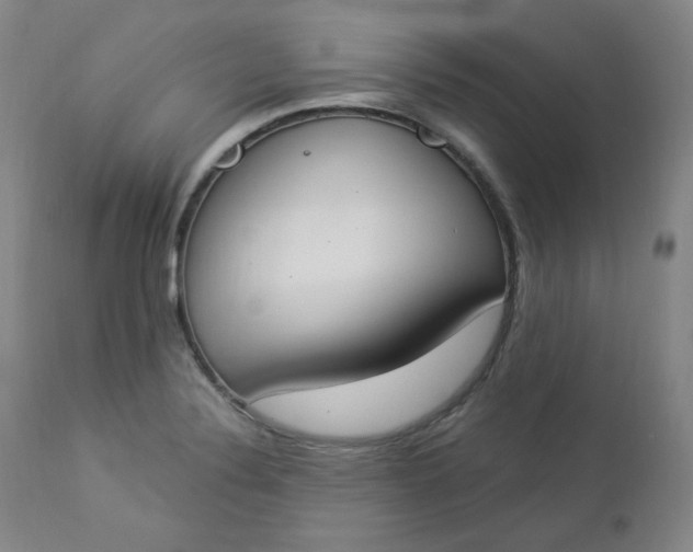X0000112861324200909041544