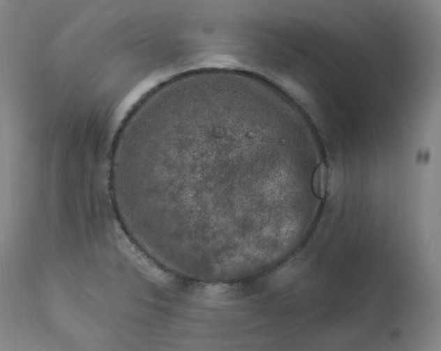 X0000112861326200909041544
