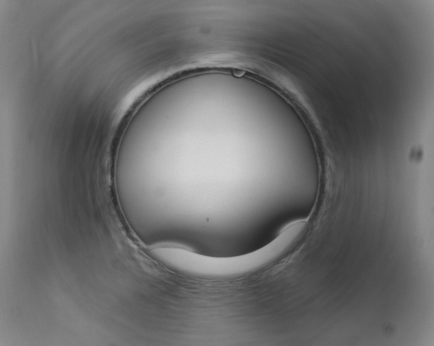 X0000112861328200909041544