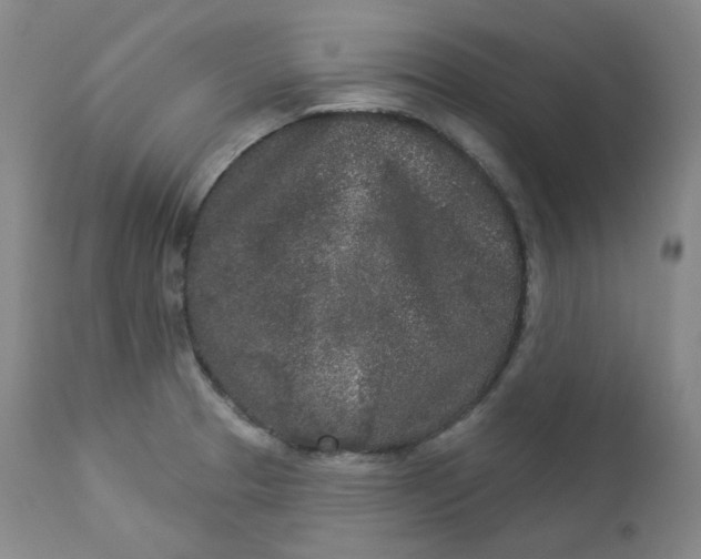 X0000112861329200909041544