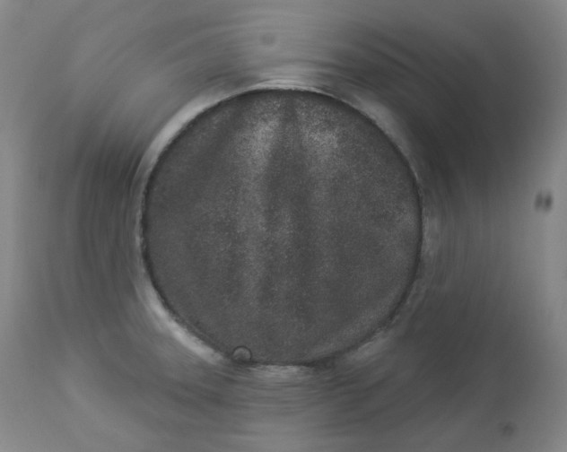 X0000112861331200909041544