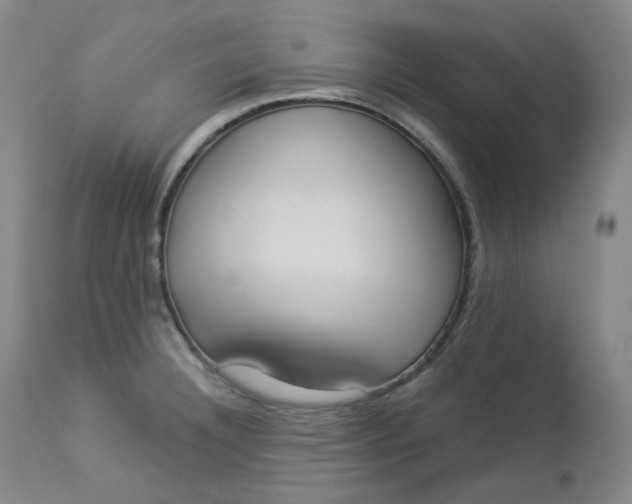 X0000112861332200909041544