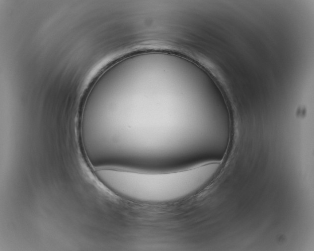 X0000112861334200909041544