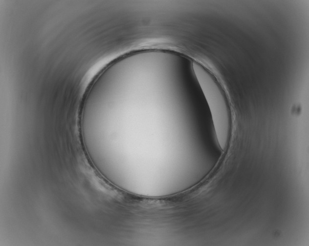 X0000112861336200909041544