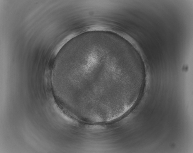 X0000112861337200909041544