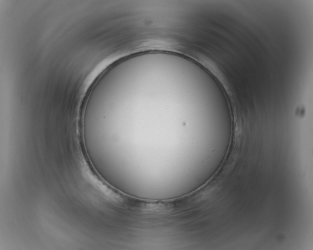 X0000112861339200909041544
