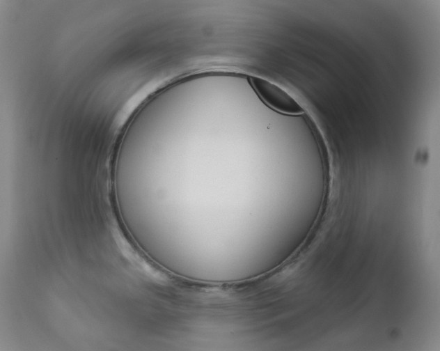 X0000112861341200909041544