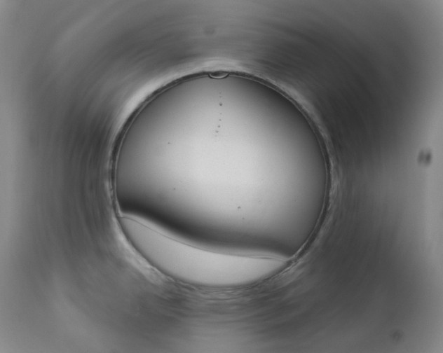 X0000112861342200909041544