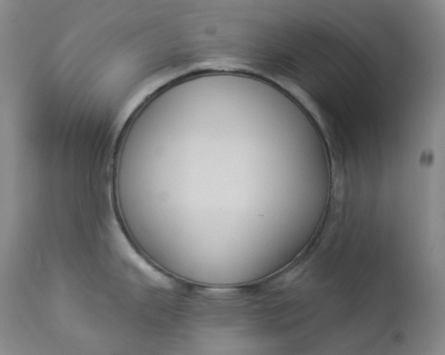 X0000112861343200909041544