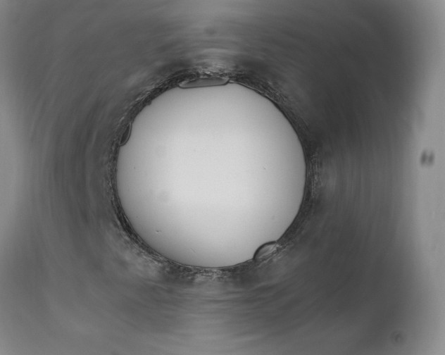 X0000112861345200909041543