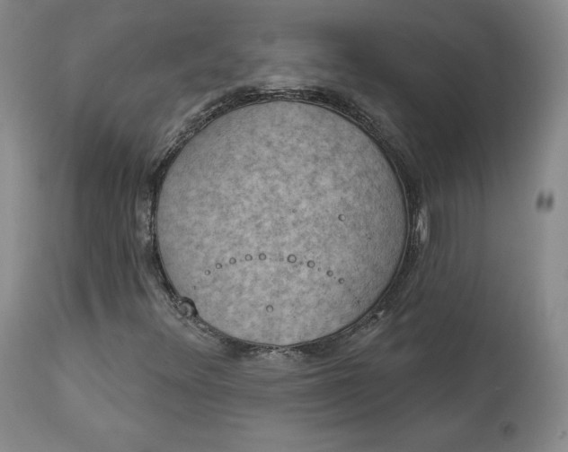 X0000112861348200909041543