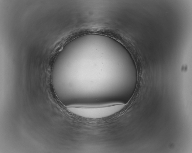X0000112861349200909041543