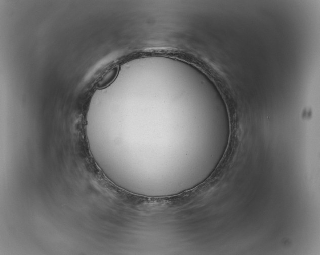 X0000112861351200909041543
