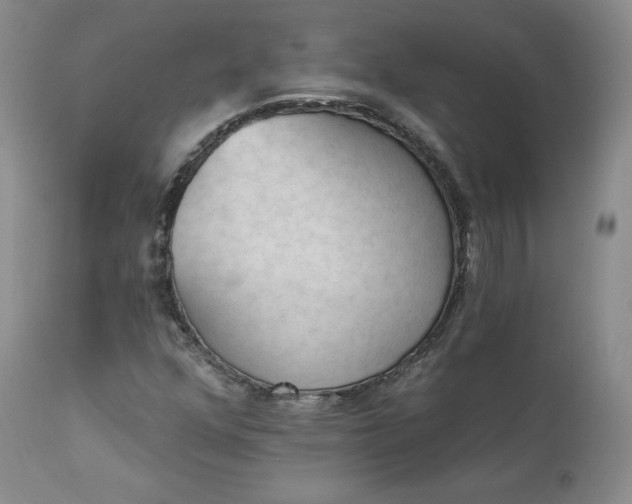 X0000112861352200909041543