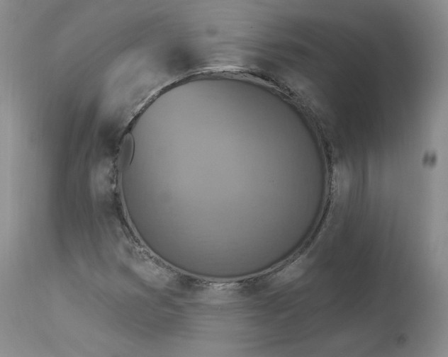 X0000112861353200909041543